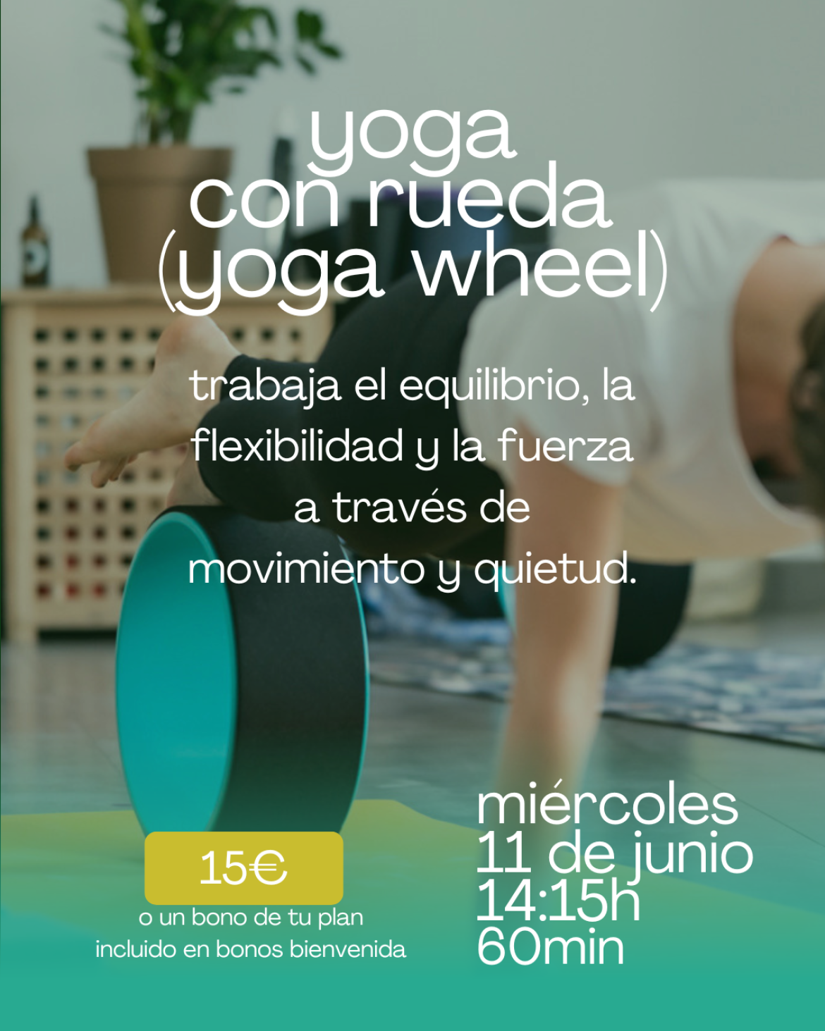 rueda de yoga - yoga wheel