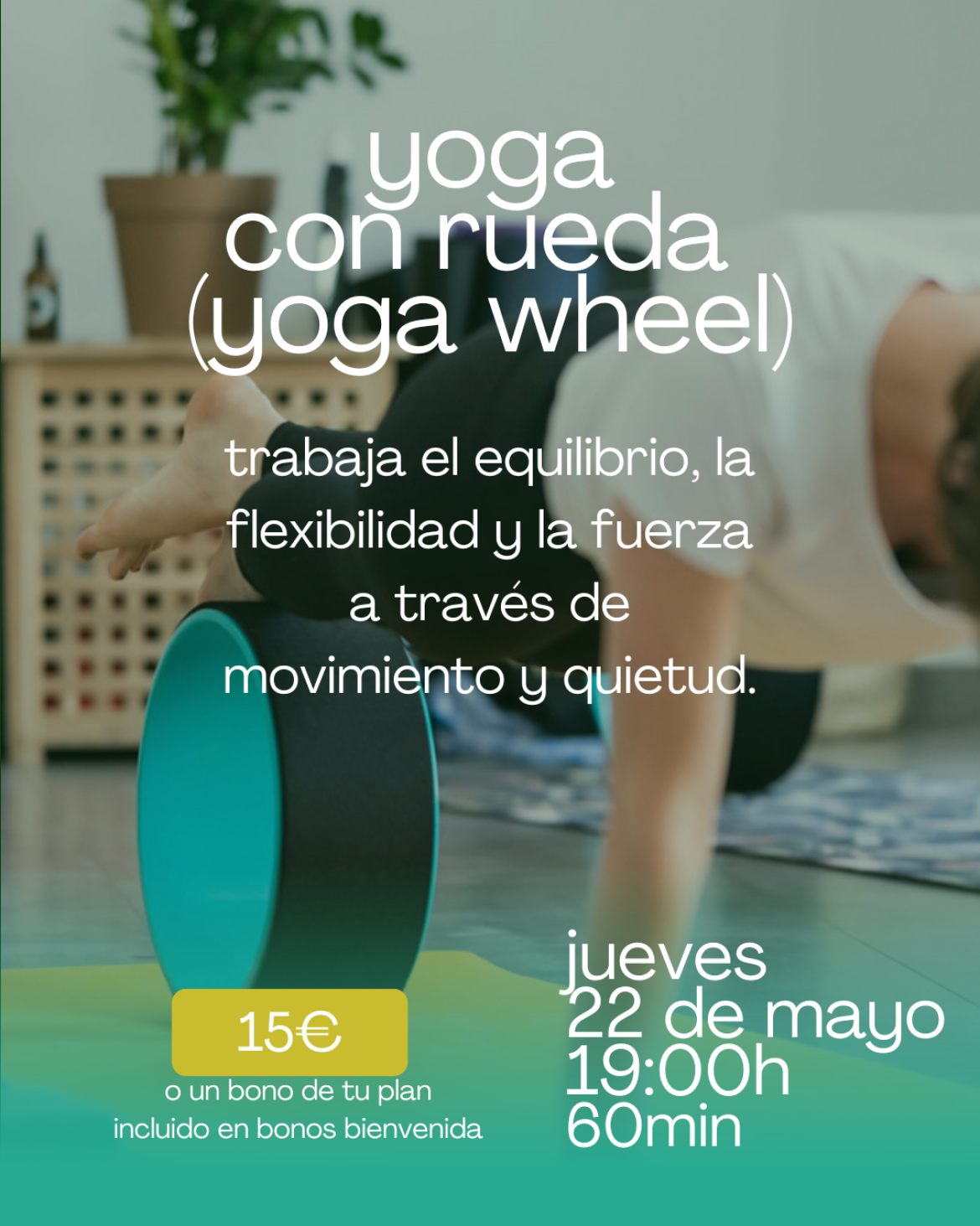 rueda de yoga - yoga wheel